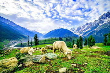 Kashmir Tours